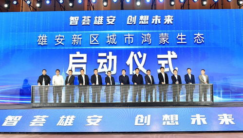 雄安新區(qū)舉辦2023軟件和信息技術(shù)服務(wù)業(yè)創(chuàng)新發(fā)展論壇，聚焦信息技術(shù)咨詢服務(wù)